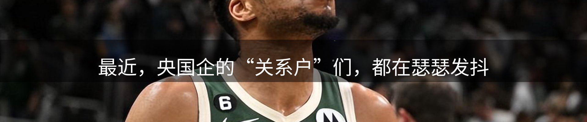 公司视点